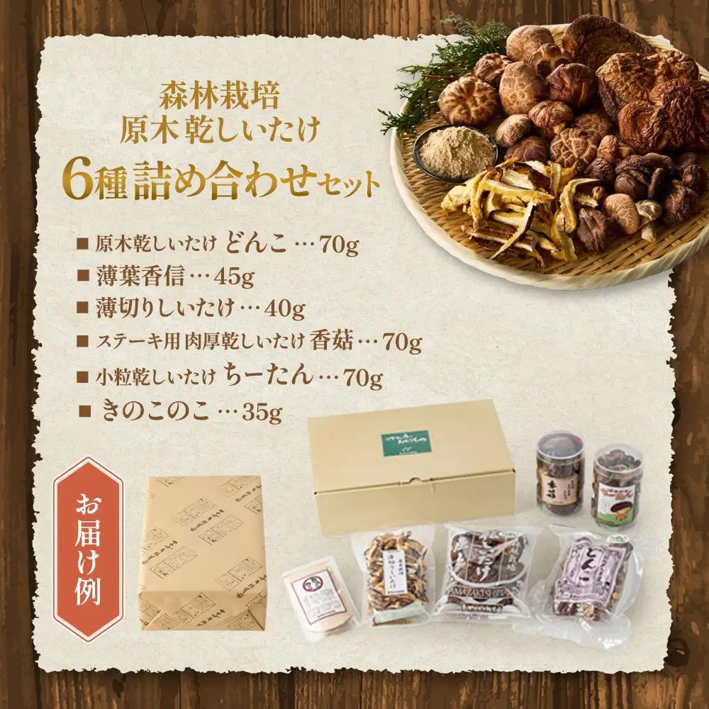 乾燥しいたけ 6種セット 椎茸 干ししいたけ 野菜