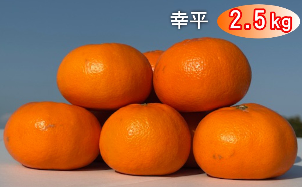 
                  太良町 山本農園の「幸平」 2.5kg
                