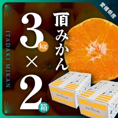 三代目がつくる【頂みかん】3kg×2箱【C31−21】【1503338】