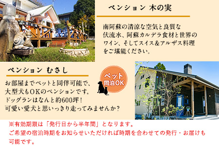 【選べる7施設】南阿蘇のペンション ペア平日1泊2食付き宿泊券／ペット同伴OKの宿も有り《30日以内に出荷予定(土日祝除く)》 熊本県南阿蘇村 ギフト 旅館 温泉 一般社団法人みなみあそ観光局