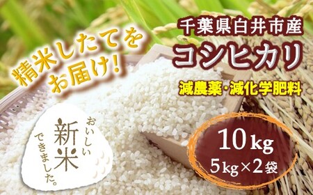 コシヒカリ 10kg 新米 5kg×2袋 精米したて 減農薬 減化学肥料 白米 千葉県産コシヒカリ こしひかり 新鮮 鮮度 米 ちばエコ農産物