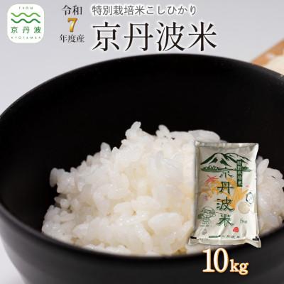 ふるさと納税 京丹波町 特別栽培米 こしひかり 京丹波町産 10kg 令和7年度産米