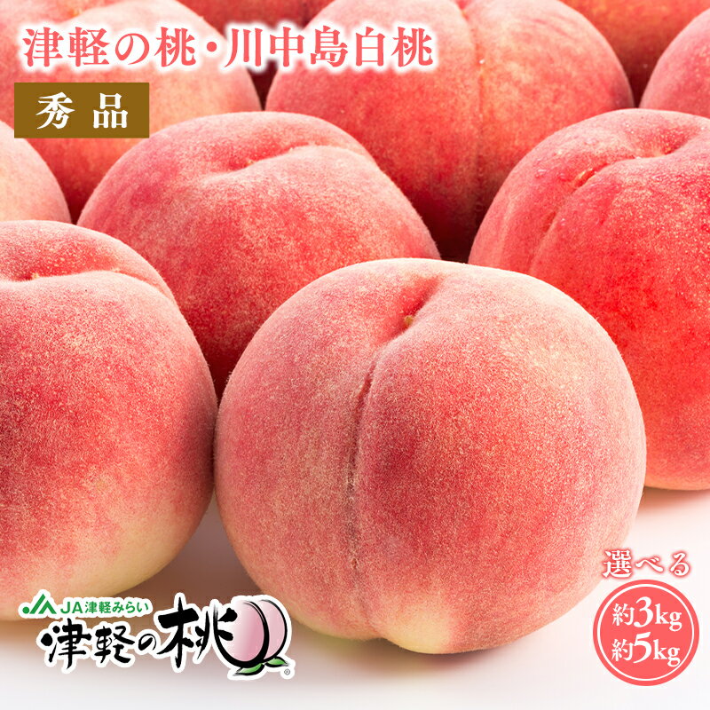【ふるさと納税】≪8月下旬〜9月中旬発送予定≫ 津軽の桃 川中島白桃 約3kg 約5kg 【青森県 平川市 津軽みらい農業協同組合】 秀品 フルーツ 果物 桃 もも モモ 白桃 ピーチ はくとう 平川市産 川中島 光センサー 贈答 お取り寄せ デザート 先行予約 レビューキャンペーン