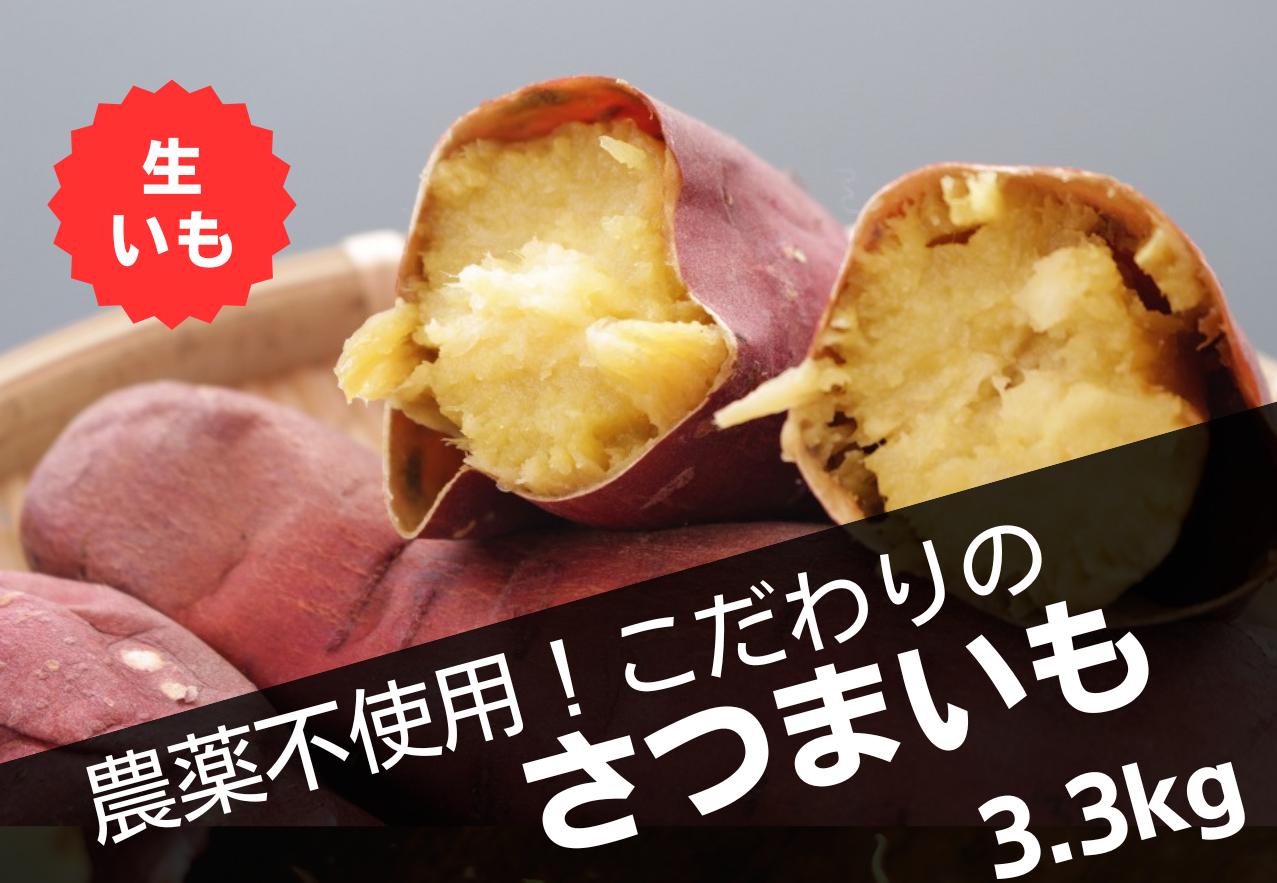 
            島根県飯南町産サツマイモ うやま農園のさつまいも　3.3㎏【 サツマイモ さつまいも 生いも 紅はるか 農薬不使用 農家直送 Ａ-11】
          