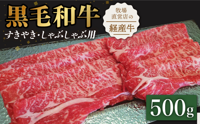
            【霜降り控えめ！】牧場直営店の黒毛和牛 スライス 500g （ロース）すきやき・しゃぶしゃぶ用【川崎畜産】佐賀県産 牛肉 切り落とし スライス 小分け 国産 牛肉 きりおとし すき焼き しゃぶしゃぶ 九州 佐賀県 白石町 [IAX028]
          