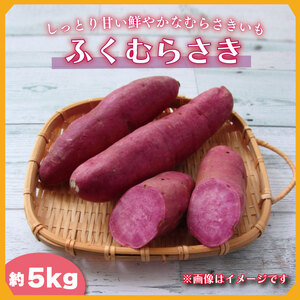 2025年度産 しっとり甘い鮮やかな紫いも ふくむらさき 約5kg｜さつまいも 芋 お芋 ふくむらさき 紫いも 渋谷農園 先行予約 茨城県 行方市(BZ-36)