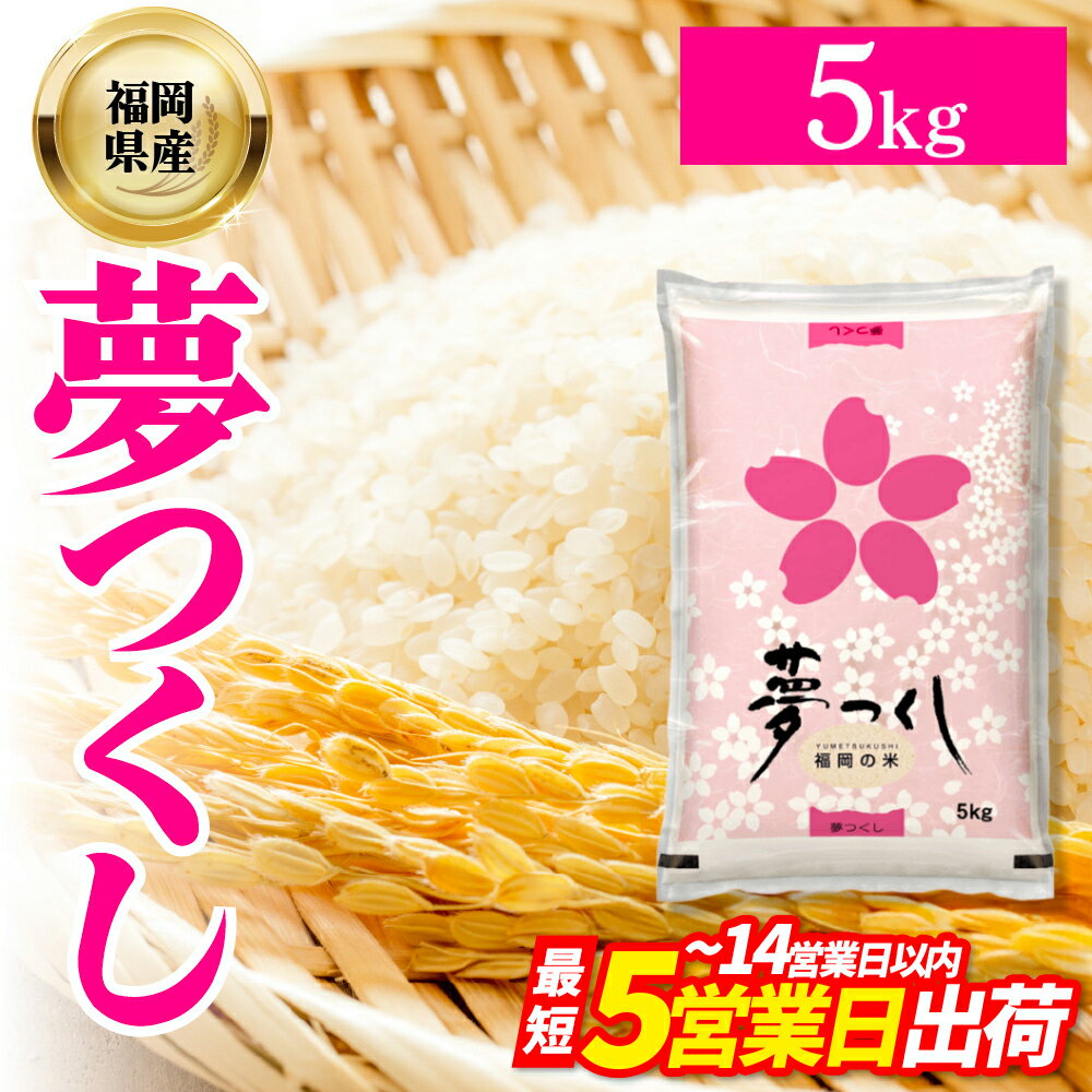 【ふるさと納税】 福岡県産 ブランド米 夢つくし(精米) 5kg お米 こめ ゆめつくし 米 福岡県 東峰村 　4J1