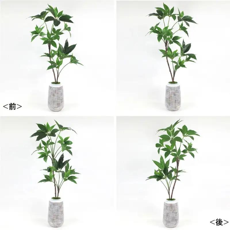 エミリオ・ロバ ツピタンサス アーティフィシャルグリーン 造花 観葉植物 水やり不要 インテリア
