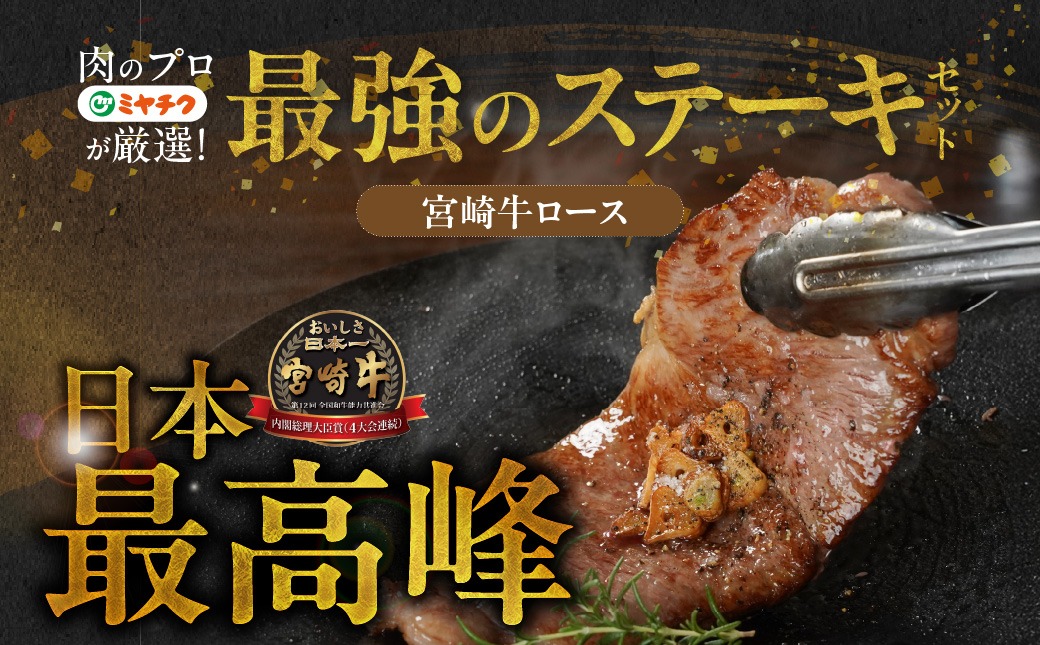 畜産農家応援! 宮崎牛ロースステーキ2枚 計500g+豚肉ハンバーグ100g×4個_16-N203-ESH
