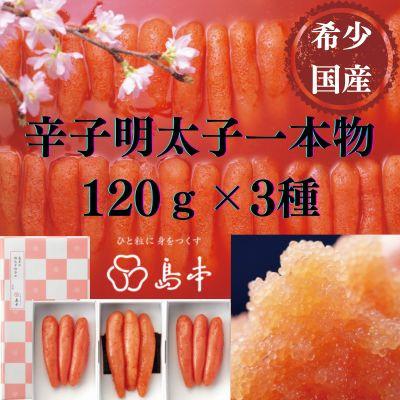 ふるさと納税 太宰府市 【博多辛子明太子の島本】国産卵使用・辛子明太子一本物120g×3種(太宰府市)