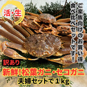 【22034】鳥取網代港【訳あり】活！松葉ガニ・セコガニ1kgセット※お届けは2026年11月中旬～【さかなや新鮮組】