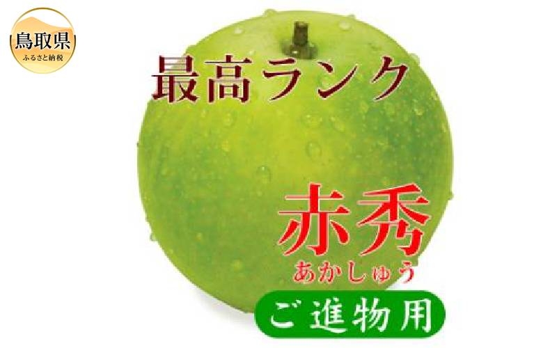 
                  鳥取県産　二十世紀梨　“赤秀”2kg　（6玉/3Lサイズ）【期間･数量限定】_T2600481　
                