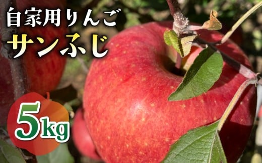 【先行受付2026年発送】農家直送！自家用りんご サンふじ　5kg （約12～18個）｜のららぼ農園 ※2026年11月上旬～11月下旬発送予定