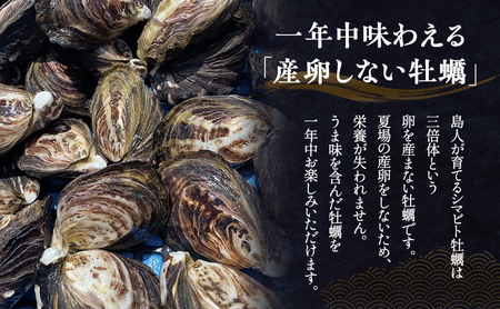 【ふるなびWEEK対象】【小豆島】小豆島産 シマビト牡蠣　生食用殻付き牡蠣　20個　2026年1月より随時発送 牡蠣 カキ 生牡蠣 生食用 殻付き 香川県 小豆島