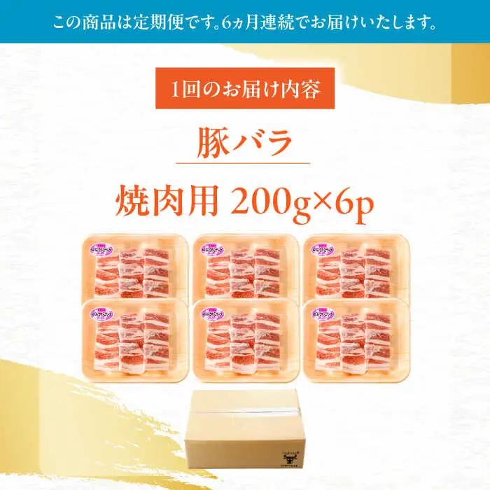 【定期便】 豚肉焼肉 総計7.2kg NAC605 豚肉 全6回
