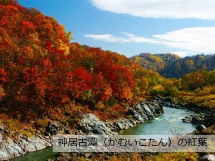 北海道旭川市ＡＮＡトラベラーズダイナミックパッケージ割引クーポン15,000点分