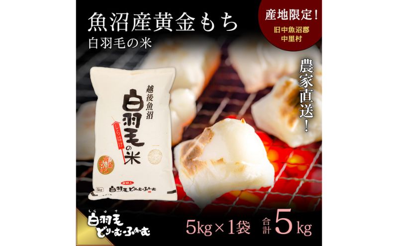 【通年受付】≪令和6年産≫　農家直送！魚沼産黄金もち「白羽毛の米」精米(5kg×1袋) 5kg