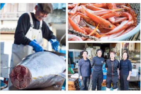 旬の獲れたて鮮魚 お刺身盛り合わせ ３魚種セット 冷蔵  魚介類 魚 刺身 たたき 刺身 塩焼き 刺身 漬け丼 刺身 しゃぶしゃぶ 刺身 アレンジ 刺身 カット済み！ 旬の地魚 入り 尾鷲 HA-9 