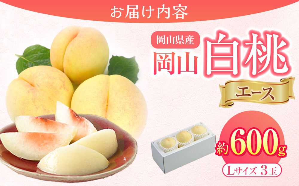 岡山県産 桃 岡山白桃 2024年 先行予約 エース 3玉×約200g 計600g Lサイズ 早生種・中生種 もも モモ フルーツ 果物 ギフト