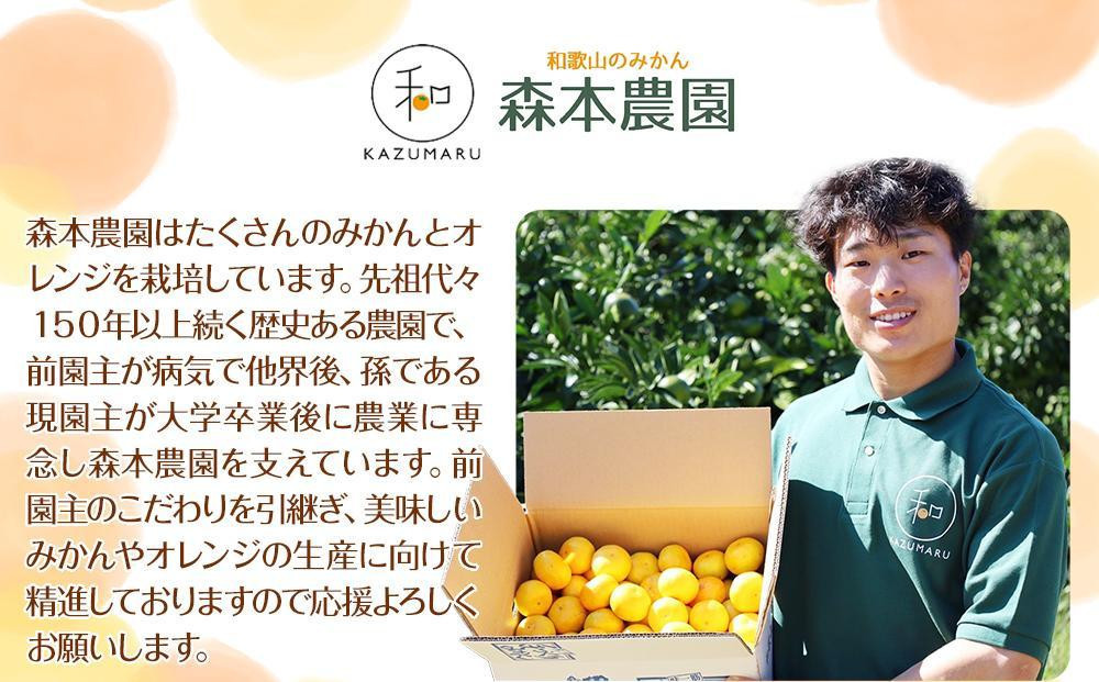 家庭用 森本農園の手選別 みかん 6kg 和歌山県産 2S~2Lサイズ混合 ［北海道・沖縄・離島配送不可］［RN30］［2025年11月上旬から順次発送］