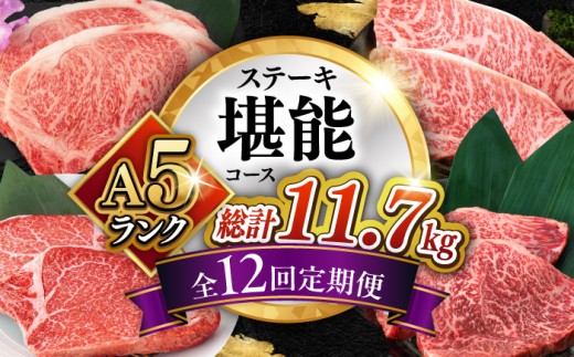 【12回定期便】長崎和牛 A5 ステーキ堪能コース 総計11.7kg / モモ リブロース イチボ サーロイン ランプ ヒレ レモンステーキ 毎月届く 50万 500000 50万円 百万 ぴったり 和牛 肉 牛肉 ステーキ 焼肉 A5 ステーキ 定期便 / 諫早市 / 野中精肉店 [AHCW086]