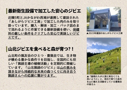 【貸切キャンプ】山北町産ジビエ肉(鹿肉)１ｋｇ付き＋薪サービス・ペガススの家【１泊２日・１０名】【 体験 チケット 旅行 キャンプ アウトドア 神奈川県 山北町 】