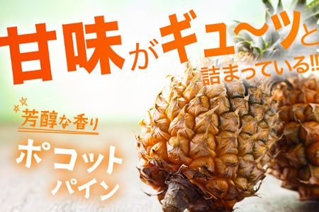 【予約受付】ポコットパイン1ｋｇ（1～2玉）お勧め♪川平パイン《2025年5月～7月頃順次発送》KN-3