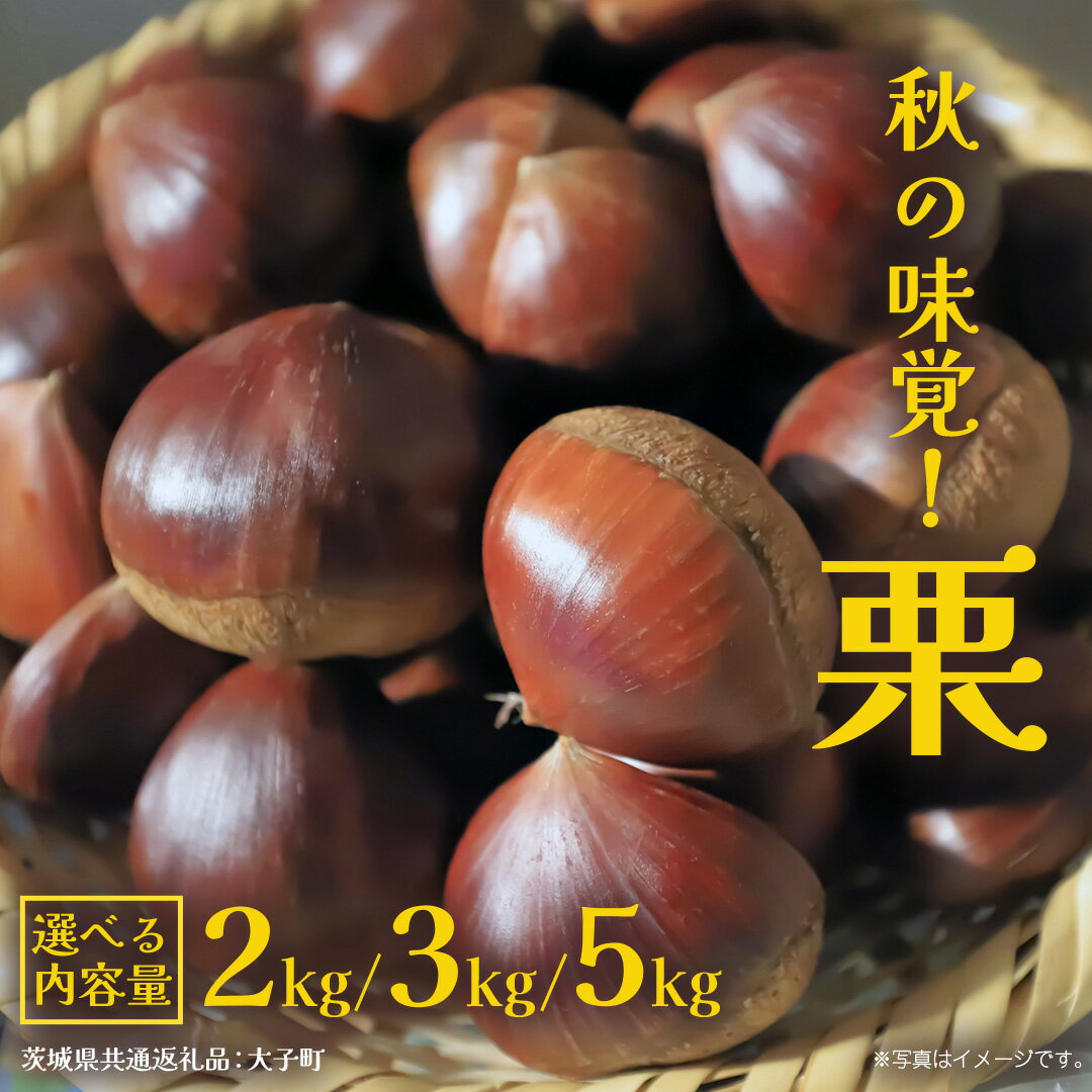 【ふるさと納税】《 選べる 内容量 》秋の味覚「 栗 」2kg 3kg 5kg【2026年9月上旬発送開始】(茨城県共通返礼品：大子町) くり マロン 果物 スイーツ モンブラン 栗きんとん 生栗 焼き栗 甘栗