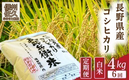 【令和7年産・白米4kg×6カ月定期便】特別栽培米　五郎兵衛米 〈2025年9月中旬頃～順次発送〉 先行予約　新米　信州　こしひかり【 コシヒカリ お米 新米予約 長野県 佐久市 】