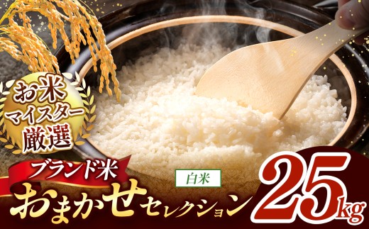 【 令和7年産 】おまかせ セレクション 熊本県産 白米  ＜ひのひかり / 森のくまさん / くまさんの輝き ＞ 25kg 単品 | 単一銘柄 米 単一米 お米 こめ 小分け 人気 コメ お米 5kg 10kg 15kg 20kg 25kg 30kg ブランド米 菊池川流域 家庭用 送料無料 熊本 くまもと 熊本県 和水 和水町 人気 ごはん