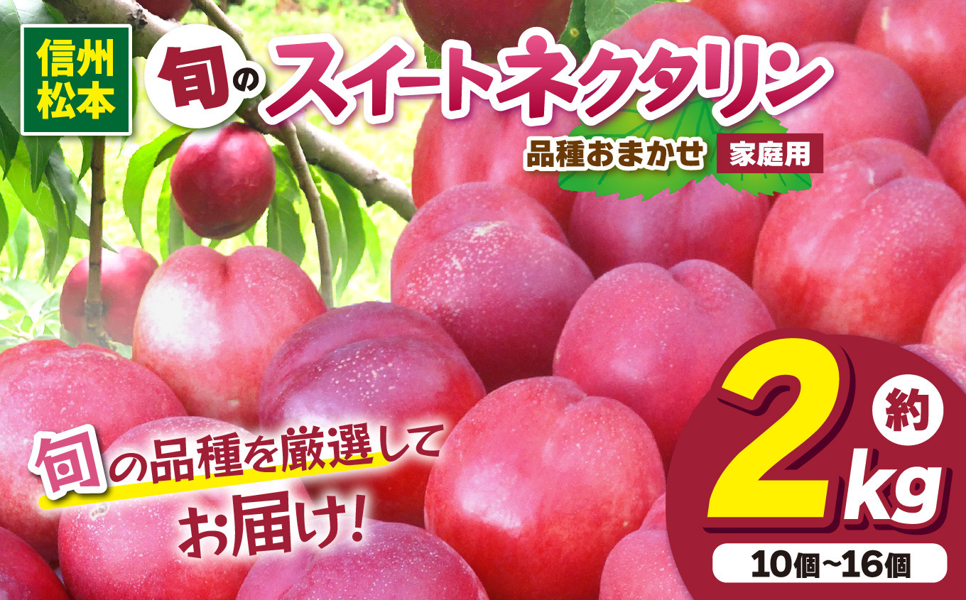 
            信州産 品種おまかせ旬のネクタリン 約2kg（10個～16個）｜ふるさと納税 信州 松本 ネクタリン オリジナル 品種 甘い 果物 フルーツ 甘い おすすめ 
          