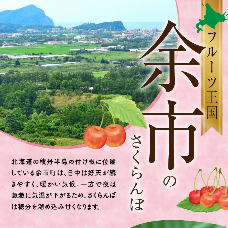 2025年発送【先行予約】令和7年産 甘さとジューシーさがたまらない さくらんぼ 紅秀峰 L～2L 800g フルーツ王国余市産 バラ詰め 200g 4パック 【ニトリ観光果樹園】 果物 フルーツ 食