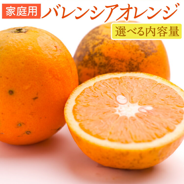 【ふるさと納税】＼選べる内容量／ 家庭用 バレンシアオレンジ