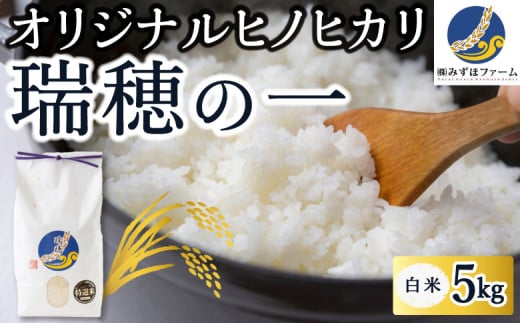 みずほファーム オリジナルヒノヒカリ「瑞穂の一」白米5kg 2024年10月20日より順次出荷予定