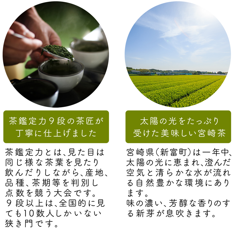 ［宮崎日本茶専門店］ミニ茶箱「空飛ぶお茶」高品質煎茶ティーバッグ 3g×15p【A187】_イメージ3