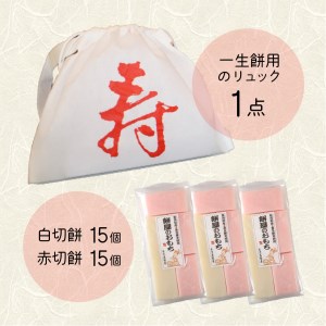 一升餅 ベビー 誕生日 お祝いセット 切餅 リュック付き 紅白もち