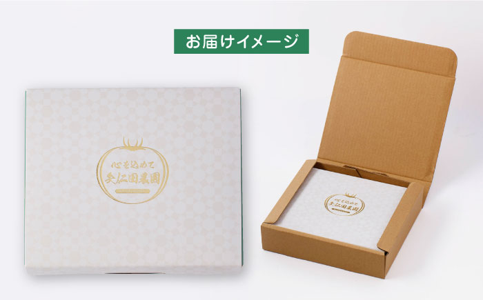 【期間限定】熊本県産 減農薬栽培 トマト ミディトマト 詰め合わせ 30個×2セット 計60個 食べ比べ ギフトセット 産地直送【矢仁田農園】 [YDE014]