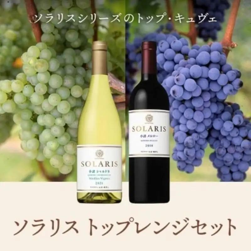 ワイン ソラリス トップレンジセット 赤白2本セット ワイン