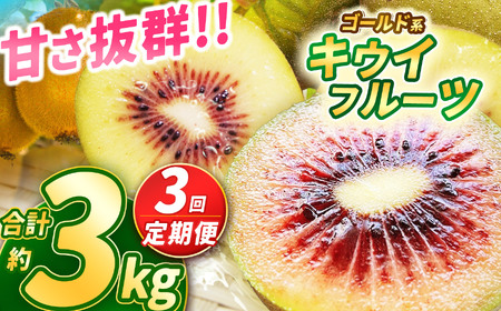 【定期便3回】【2025年先行予約】甘さ抜群のゴールド系 キウイフルーツ 約3kg | 果物 くだもの フルーツ 野菜 やさい ヤサイ キウイ きうい ゴールドキウイ ごーるどきうい 新鮮 フレッシュ 甘い 美味しい フルーツ デザート 栃木県 那珂川町 送料無料