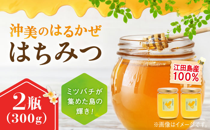 
            江田島産100％ はちみつ 『沖美のはるかぜ』300g×2本セット ハチミツ 蜂蜜 国産 広島 江田島市/はつはな果蜂園 [XCD006] ハチミツ 国産蜂蜜 国産はちみつ 国産純粋はちみつ 蜜 蜂蜜 はちみつ ハニー honey 人気ハチミツ 日本蜜蜂 純粋はちみつ 常温 保存 備蓄 防災食 非常食 保存食 産地直送 国産
          