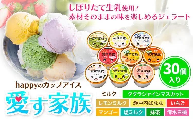愛す家族 カップアイス 30個 アイス