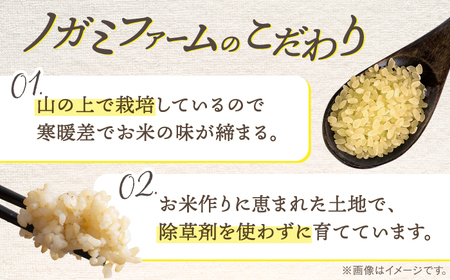 弥山岳の岩清水で育ったノガミファームのお米 玄米5kg 桂川町/NOGAMI FARM[ADAU009]