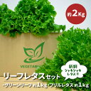 【ふるさと納税】リーフレタスセット　約2Kg