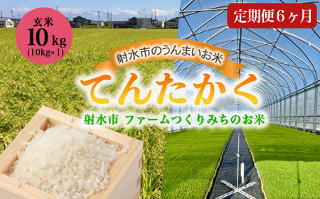 【6ヶ月定期便】【射水市】【射水の美味しいお米】ファームつくりみちのお米 作道米 R8年度産てんたかく10kg（10kg×1）【玄米】｜米 こめ コメ てんたかく 天高く 玄米 ブランド米 銘柄米 人