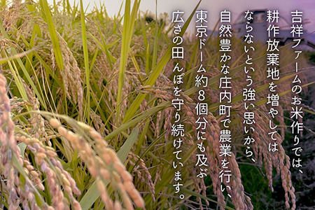 吉祥ファーム 2合キューブ×1個 ササニシキ 300g 無洗米 令和7年産 2025年産 ブランド米 優秀金賞受賞農家 ブランド米 コシヒカリの原点、亀の尾発祥の地 庄内