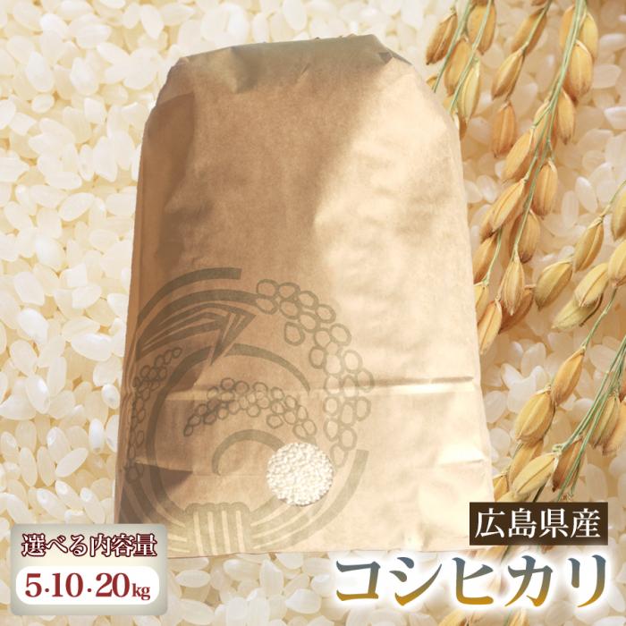 【ふるさと納税】コシヒカリ 【選べる容量】5・10・20kg 米 お米 ご飯 ごはん 白米 精米 238010-r