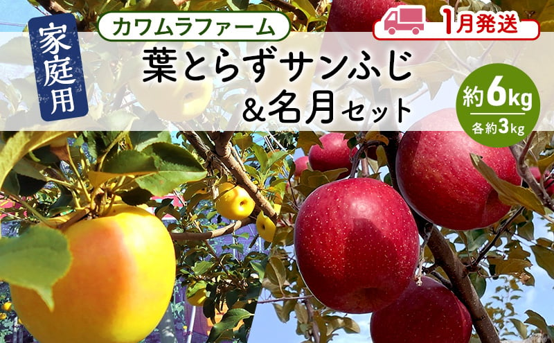 
りんご 【1月発送】カワムラファーム 家庭用 葉とらず サンふじ & 名月 セット 約6kg 【弘前市産 青森りんご】 青森 弘前
