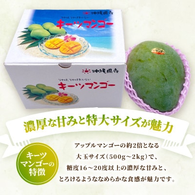 【2026年8月中旬から順次発送】今帰仁産の幻のキーツマンゴー1.5kg(2〜3玉)【配送不可地域：離島】【4014739】