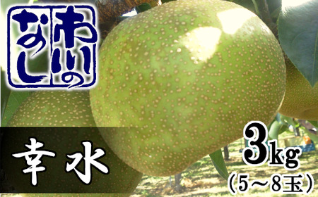 市川の梨　幸水　3kg（5～8個入り）　【12203-0084】