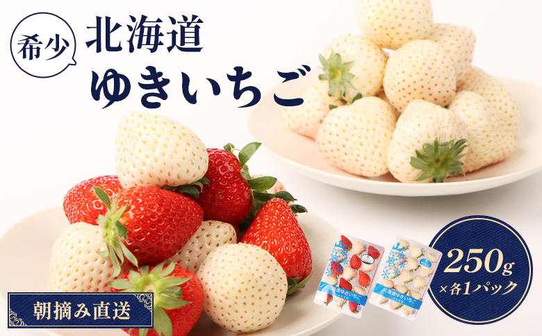 【北海道産】ゆきいちご（ゆきぼたん/紅ほっぺ）白×ＭＩＸ 2Ｐセット 各250g×2【59002】
